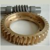 Worm Wheel Gear